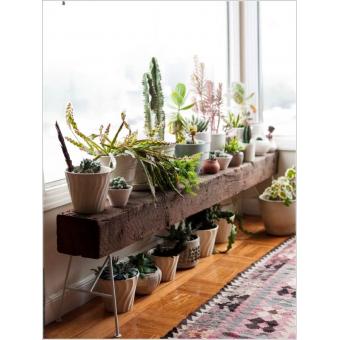 Indoor Planter