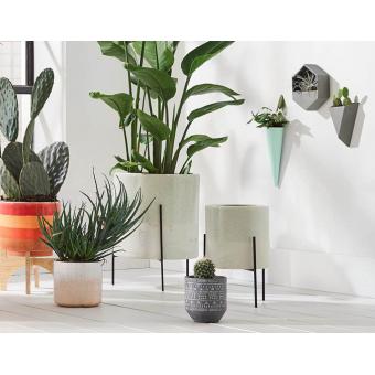 Indoor Planter
