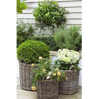 Outdoor Planter, Planter, Rattan Planter