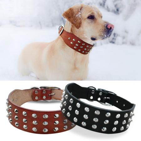 Pets Collar 