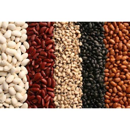 Dry Beans 