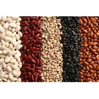 Dry Beans